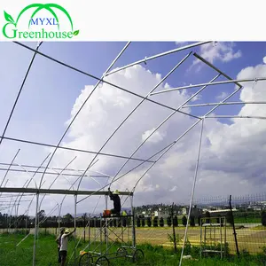XL thép mạ kẽm Nóng khung cao đường hầm phim nhựa cà chua nhà kính cho nông nghiệp