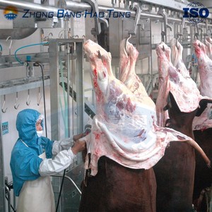Équipement d'abattoir <span class=keywords><strong>bovin</strong></span> : Crochets de suspension de carcasses sur rail tubulaire en acier inoxydable 304, composants essentiels à haute productivité - Product Image 3