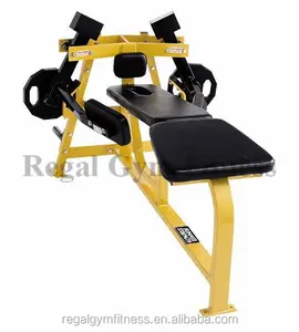 Iso-Lateral Traseira Deltóide/Forma Do Corpo Equipamentos De Fitness Exercício/Equipamento do Exercício Abdominal Preços