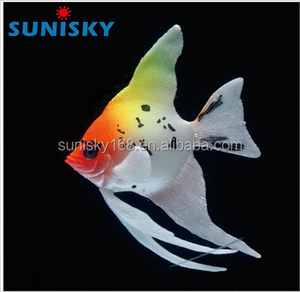 Commercio all'ingrosso nuovo popolare colorful finto <span class=keywords><strong>pesce</strong></span> di alta qualità variopinta piccolo silicone pesci da acquario per fish tank - Product Image 1