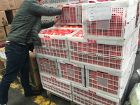 Panier de présentation de fruits, caisse en plastique pour tomates, caisse en plastique pliable blanche, fabricants de caisses à légumes, panier à poignée