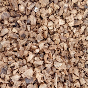 Ju Ju naturale torrefatto radice di Cichorium fritti radici Intybus tagli per tisana - Product Image 3