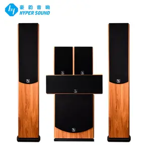 Professional Speakers 5.1 Home Theater System