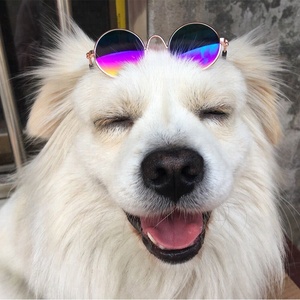 Fresh style cute amusing Pet sunglasses Retro classic <span class=keywords><strong>Circular</strong></span> Metal Prince sunglasses Travel Dog cats - Product Image 6