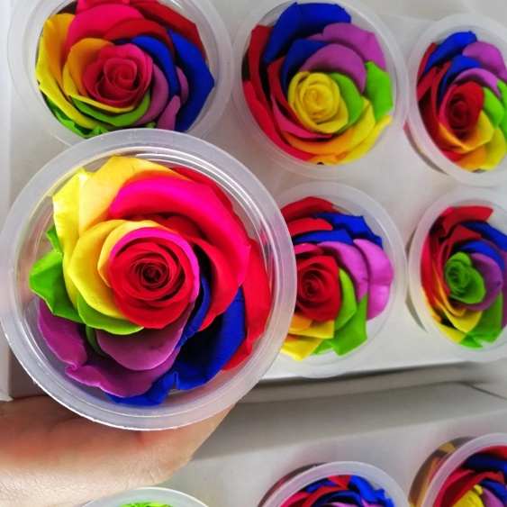 New products handmade 6-7cm preserved rainbow roses