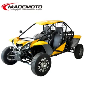 Professional Dune Buggy 1100cc 4x4