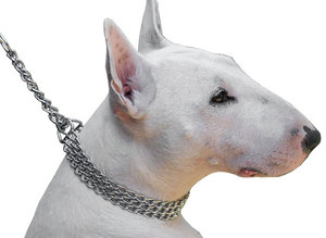 Kalung Rantai Anjing Pelatihan Tugas Berat Berlapis Krom - Product Image 2