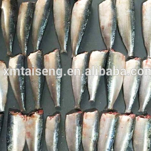 نوعية جيدة المجمدة WR سمك السردين للبيع الأسواق - Product Image 3
