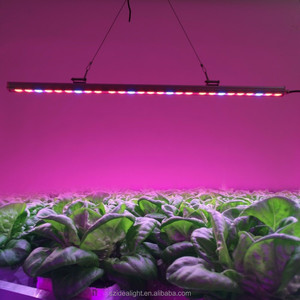 Hydroponique 4ft led élèvent la lumière bar bande 60 w spectre complet led t8 tube Intérieur de Culture hydroponique Kit pour - Product Image 4