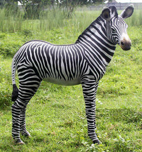 Escultura de Animal decorativa, estatua de <span class=keywords><strong>cebra</strong></span> colorida de resina de tamaño real - Product Image 4