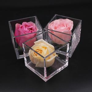 Custom eco friendly mini desk acrylic plastic square transparent flower pot