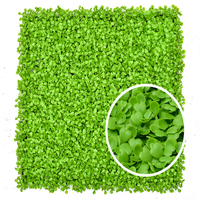 50x50 60x40 cm mode décorer UV protégé extérieur gazon artificiel plante mur panneau