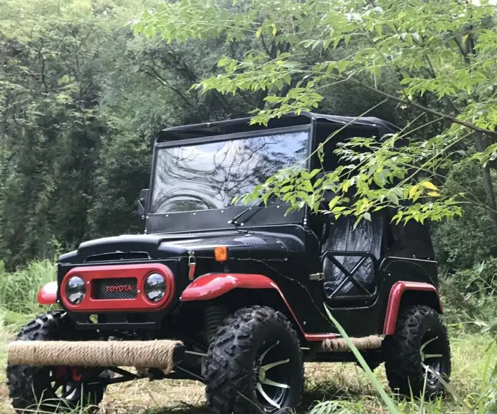 3000W Elektro-Geländewagen für Erwachsene All-Terrain-ATV-Wagen Golf wagen