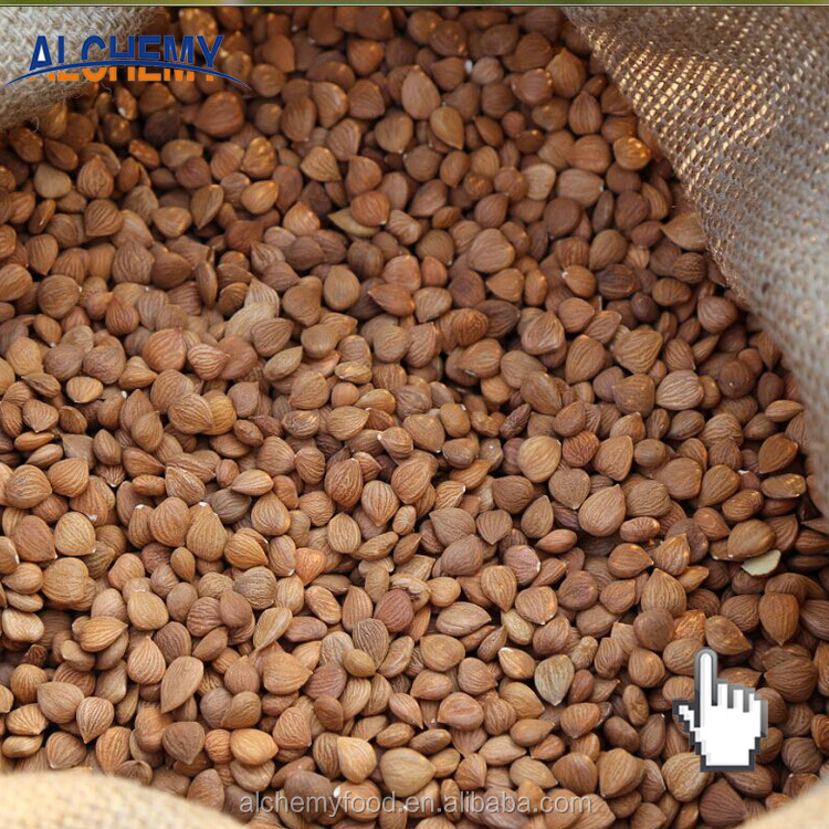 Abcnuts. Зерно для птиц. Солод пивоваренный ячменный светлый. Урюк орех. Ресторан зерно рязань.