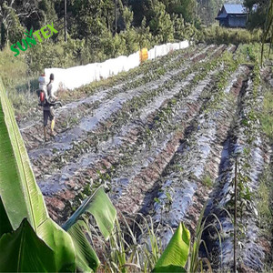 Couverture de sol en <span class=keywords><strong>plastique</strong></span> agricole / Membrane anti-mauvaises herbes / Paillis en <span class=keywords><strong>plastique</strong></span> <span class=keywords><strong>noir</strong></span> à vendre - Product Image 6