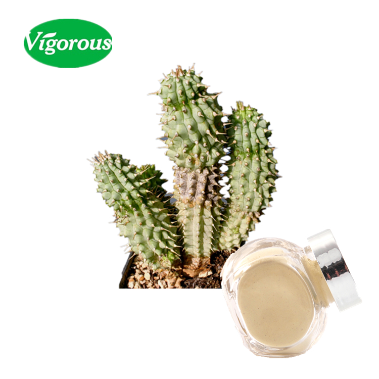 100% Чистый Экстракт Кактуса худии гордонии