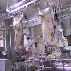 Halal ganado <span class=keywords><strong>matadero</strong></span> equipo mano operado carne vio piel <span class=keywords><strong>de</strong></span> vaca máquina <span class=keywords><strong>para</strong></span> la <span class=keywords><strong>venta</strong></span> - Product Image 5