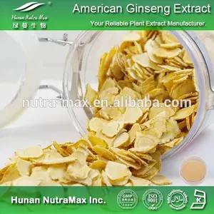 Ginsenosides americano extrato de raiz de ginseng, Panax quinquefolium extrato