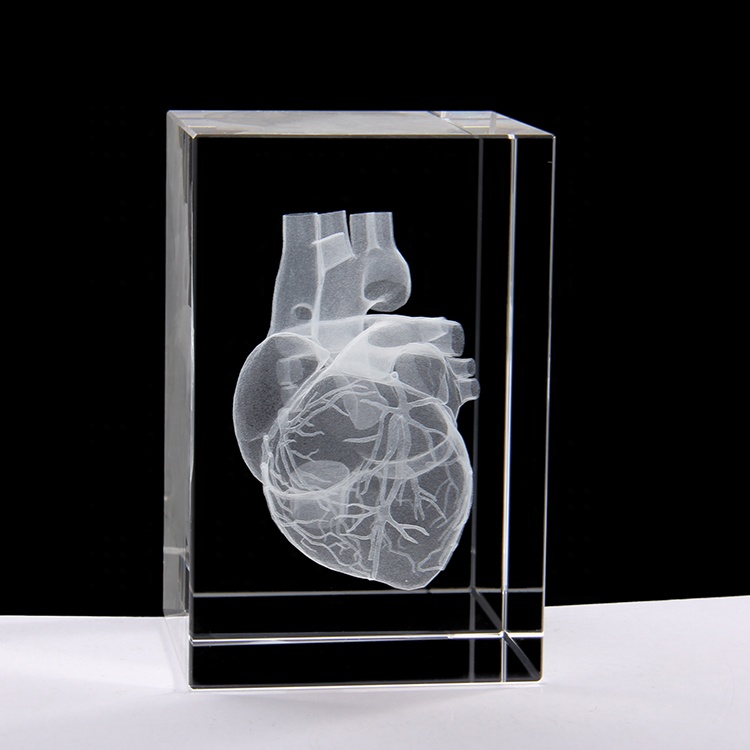 Customized Doctor Medical Human Heart 3D Model in K9 Crystal Glass