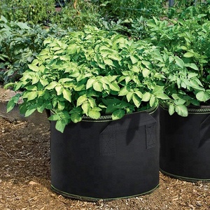 Tela de fieltro para cultivo de flores en jardín, bolsa para macetas, 1, 3, 5, 7, 10, 20, 30, 50, 100, 200 galones, barata, venta al por mayor