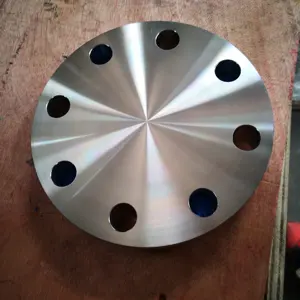 Customized Size Food Grade Stainless Steel Flange Pipe Flange