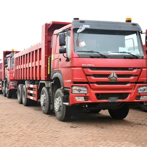 Sino Truck 8x4 12 Wheeler Howo Dumper Truck 在阿尔及利亚销售