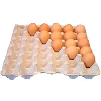 मोल्ड रीसायकल BIODEGRADABLE गुणवत्ता अंडे की ट्रे कागज अंडे की ट्रे BANDEJA पैरा HUEVOS