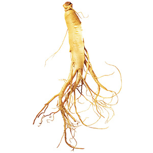 Changbai dağlık Ginseng - Product Image 6