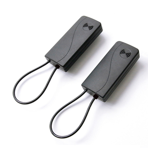 RF AM EAS Loại Bỏ Thẻ Báo Động An Ninh 2 Thẻ Cảm Biến Báo Động Cho Túi Kính Râm - Product Image 2