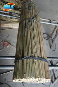 Garden Decoration Of Bambu Cane Bambu Plants Bambu Cane For Support Plants 106CM 8-10MM