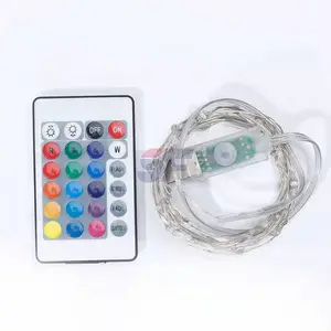 ED String Lights Multi Color Changing Fairy Lights USB Plug-in Lights Remote & Timer 4 Modes Indoor Decorative Silver Wire