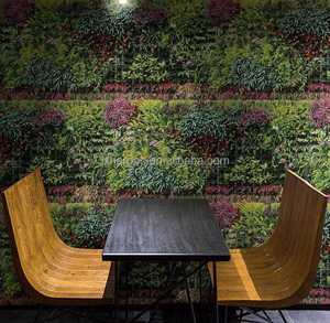 Hermosa vegetales protección de ojo PVC de <span class=keywords><strong>papel</strong></span> para Bar Decoración - Product Image 6