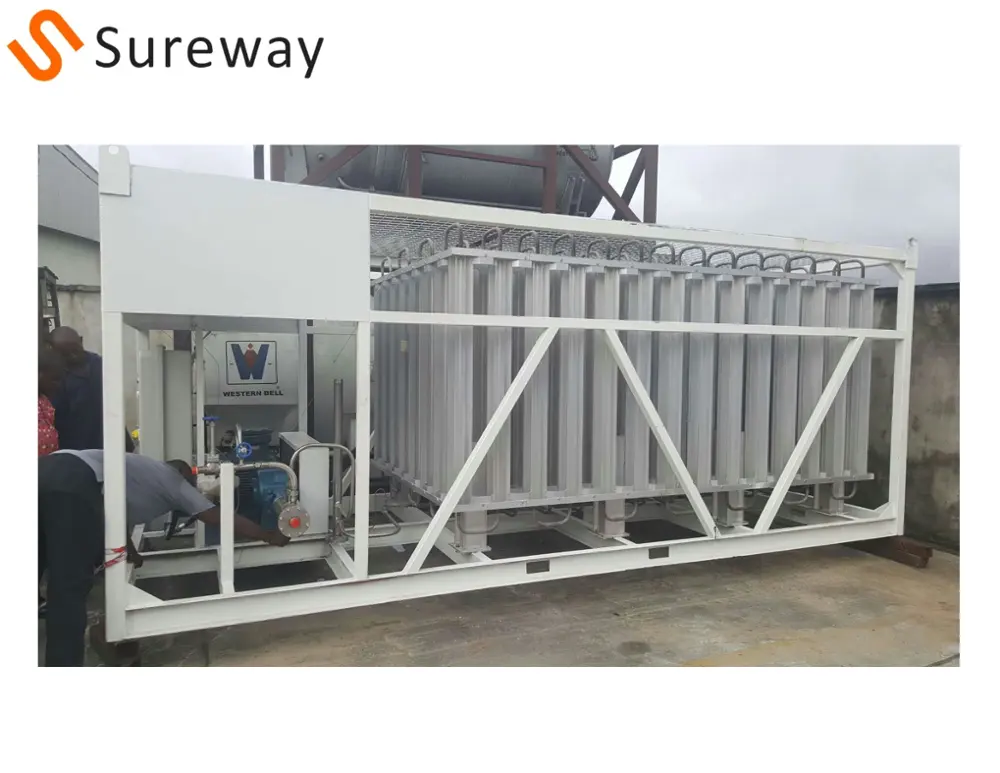 Large Capacity Cryogenic LNG Vaporizer and Pump Skid