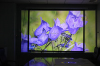 Écran de projecteur LCD pliable, pour l'extérieur, Home cinéma