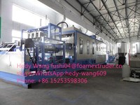Máquina automática de fabricación de contenedores de alimentos de espuma PS, placa termocal desechable, salida de fábrica