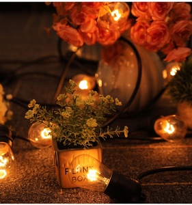 Heavy Duty 50M 100M 240V Bên Ngoài Festoon Chuỗi Ánh Sáng Edison Ngoài Trời Màu 15M 25M 30M 40M Festoon Cafe <span class=keywords><strong>Lights</strong></span> - Product Image 5