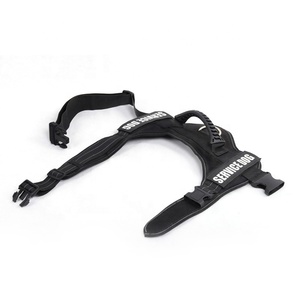 Beste Qualität Glow In <span class=keywords><strong>The</strong></span> Dark Haustier Hund Ausbildung Harness Weste - Product Image 2
