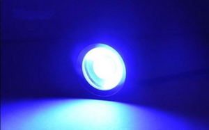 popular parte auto <span class=keywords><strong>eagle</strong></span> <span class=keywords><strong>eyes</strong></span> luz de la promoción - Product Image 3