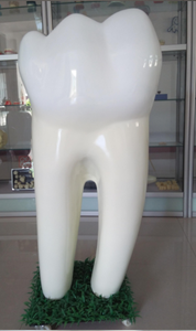 Mô Hình Hình Dạng Răng 1.2M Dành Cho Biển Hiệu Bên Ngoài & Trang Trí Của Phòng Khám Nha Khoa Bệnh Viện Và Đại Học Với Bánh Xe Phổ Quát - Product Image 4
