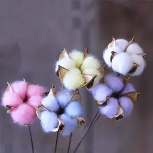 Fiori Secchi CAWELL per Decorazione Casa, Fiori Artificiali di Cotone Essiccato - Product Image 1