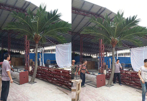 <span class=keywords><strong>2017</strong></span> nouveaux produits artificielle sagou kentia Palm Arbre de noix de <span class=keywords><strong>coco</strong></span> palmier - Product Image 4