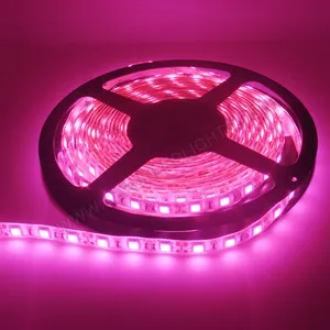 สีชมพูLED Strip Light Ledแถบยืดหยุ่น12V Led Spotlight Led Lightสำหรับตกแต่ง