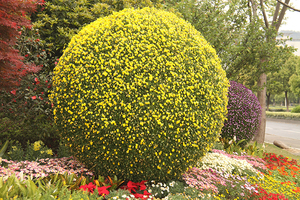 Grands pots de fleurs en forme de boule, fournitures de jardin, grands pots de fleurs en <span class=keywords><strong>plastique</strong></span> en forme de boule - Product Image 6