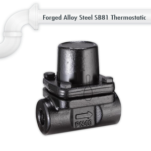 วาล์วดักไอน้ำแบบเทอร์โมสแตติก ปรับสมดุลแรงดัน ผลิตจากเหล็กอัลลอยด์ปลอมแปลง - Product Image 2