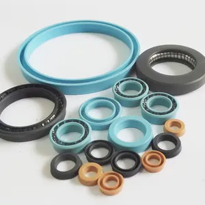 DSH Seals Corrosion-proof PTFE Spring Energized Seal Ring