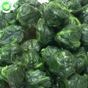 BQF Bulk China Organic Bagged Frozen Bag Of Season Fresh Chopped Leaf Spinach Spiral Draining Balls Brick In Box Package
