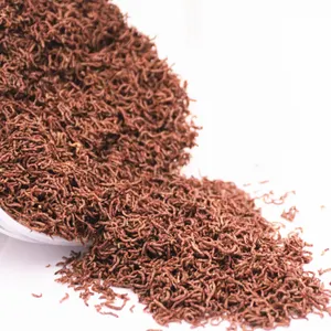 fish feed freeze dried bloodworm, fish feed freeze dried bloodworm  Suppliers and Manufacturers at