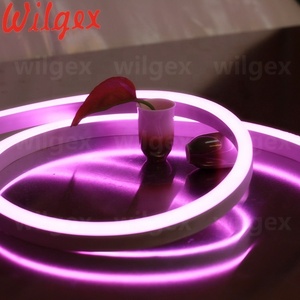 Dải Đèn LED Điều Khiển Từ Xa WS2811 Pixel 5050 RGB SPI DMX 60 LED Chiếu Sáng Sân Vườn Khách Sạn Đèn Neon Flex - Product Image 3