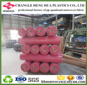 Material de LOS PP Spunbonded la Tela No Tejida Bolsa de regalo - Product Image 2