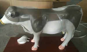 Mô hình giải phẫu gà giảng dạy y tế - Product Image 2